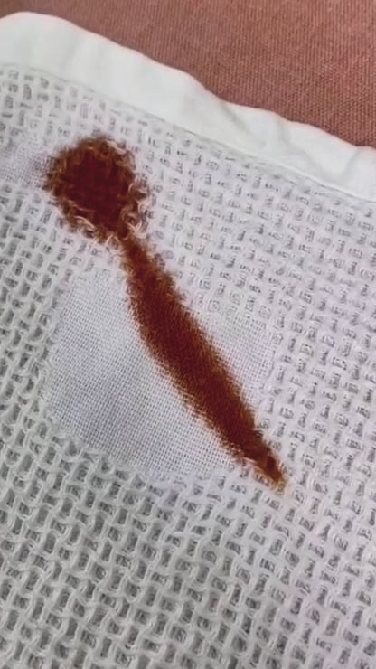 Active Enzyme Laundry Stain Remover (Pack of 2)